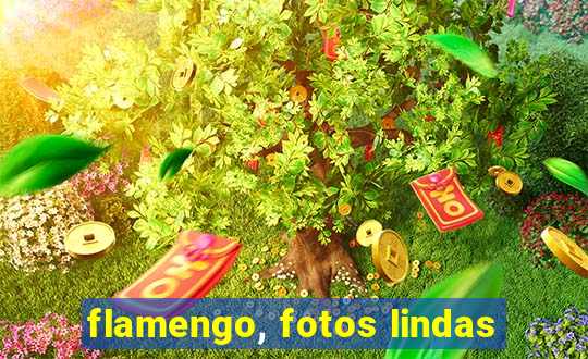 flamengo, fotos lindas